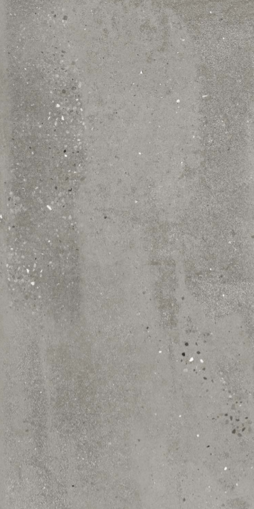 Silver Grain Gray - Matt - Porcelain - 80x160