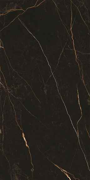 Stratum Portoro Polished 1200x2400