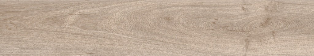 Latina Tortora - Polished - Porcelain - 20x120