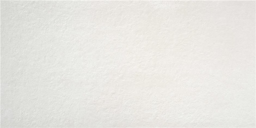 [A2VTCFT0007] Public White Antislip R11 60x120