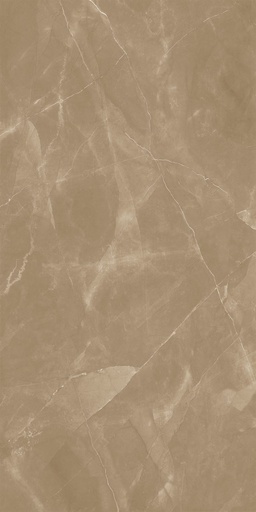 [A5LLCFT0003] Armani Gold Polished 1200x2400