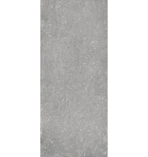 [A3TRRTTVICE128N] Vicentina Ash Matt 6mm 120x280 (3.36m2 per slab)